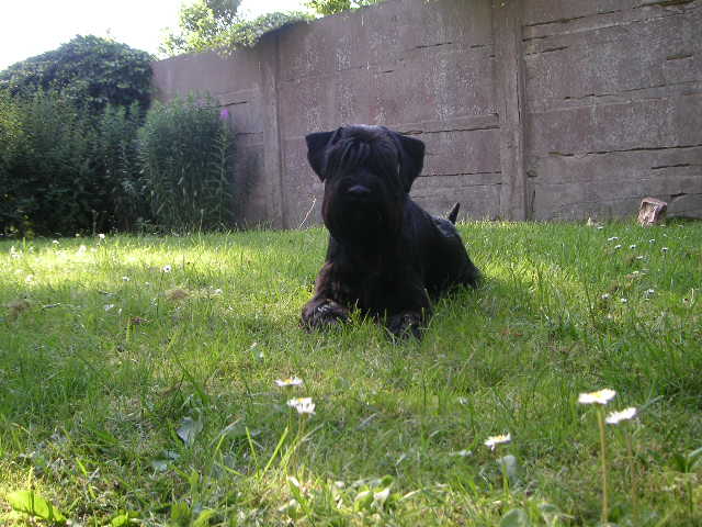Bild 295.jpg